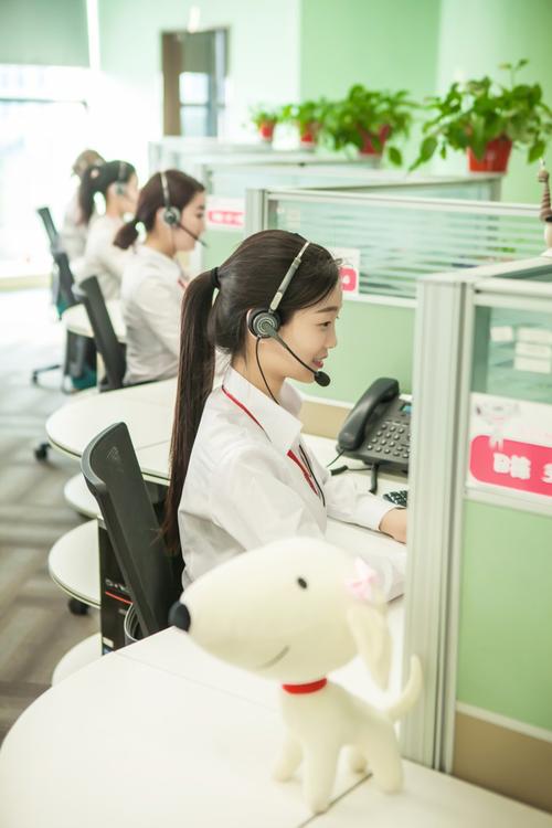京东上的流量卡发给客服