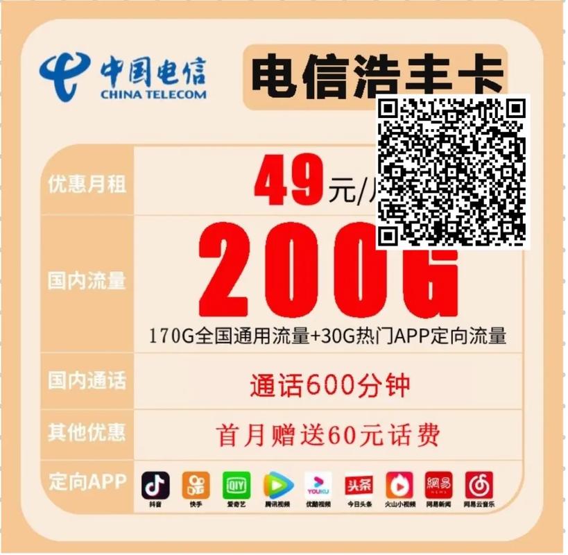 49元全国流量王卡电话