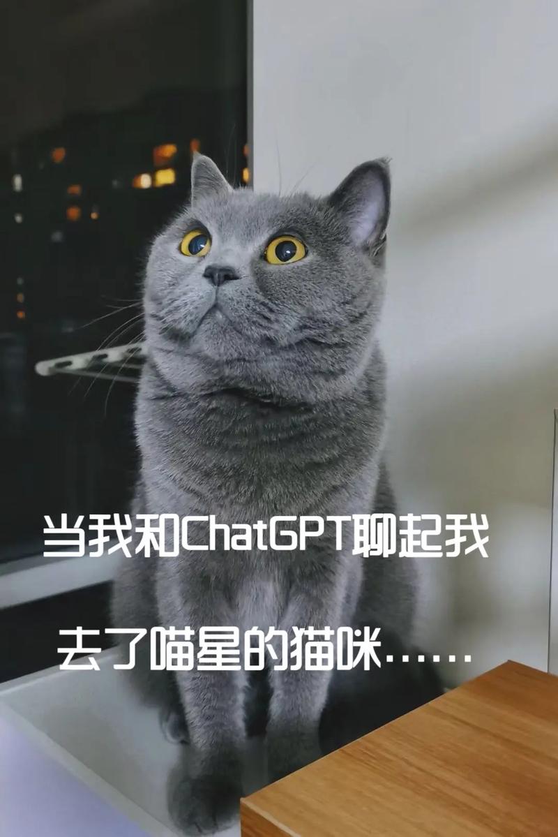 抖音猪小妹谢谢你什么梗