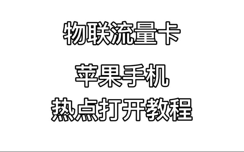 苹果系统使用流量专卡