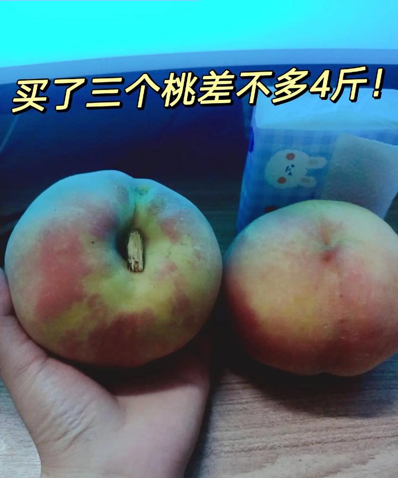 抖音桃什么名的屏障主播