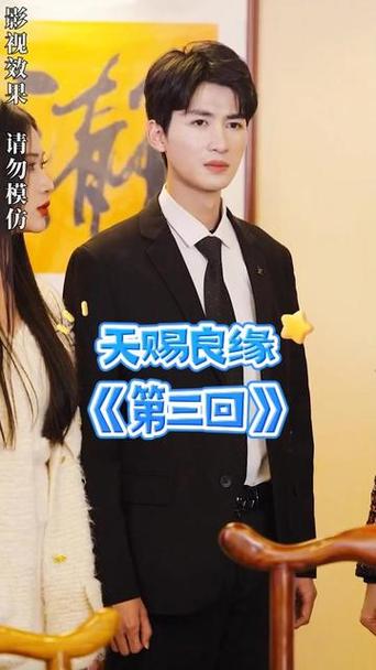 抖音天赐良缘的歌是什么
