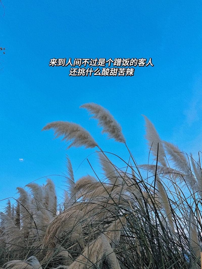 抖音短视频蹭饭什么意思