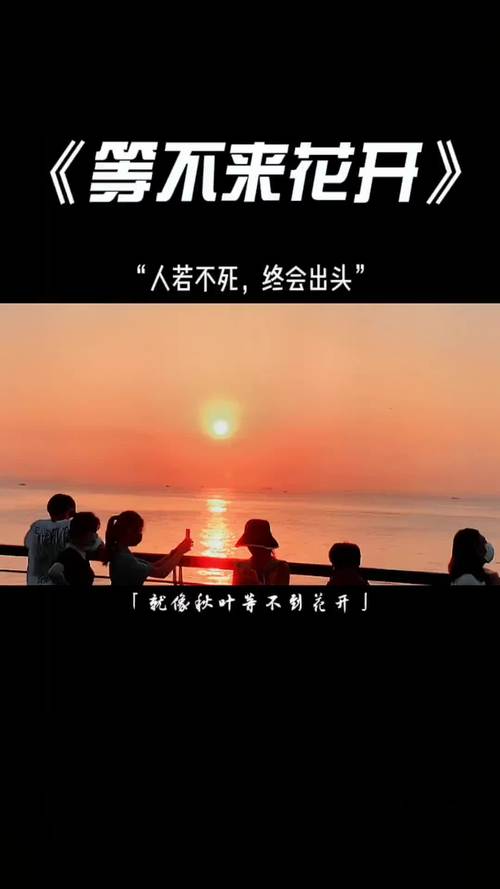 抖音音乐后遗症什么意思