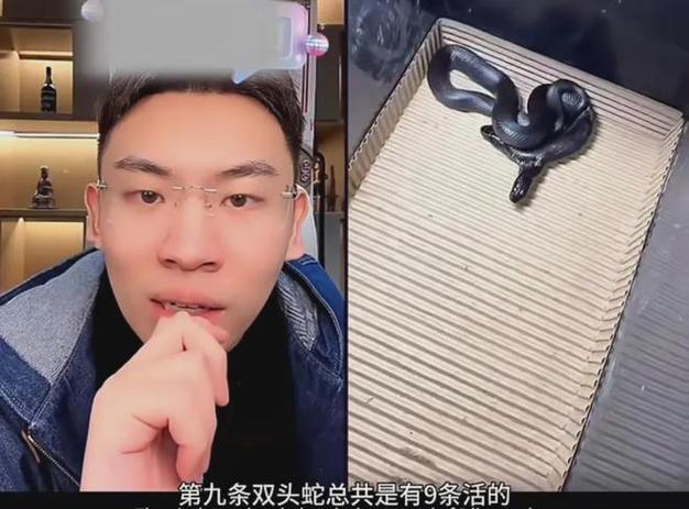 笑死人的抖音昵称叫什么
