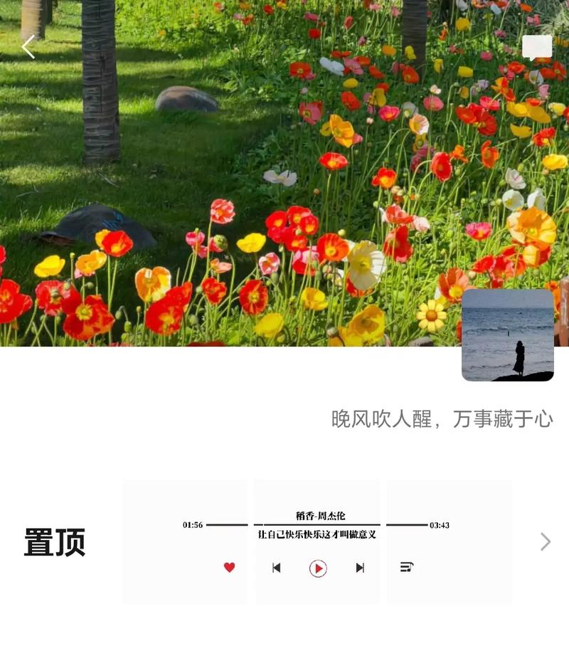 抖音置顶用什么样的好