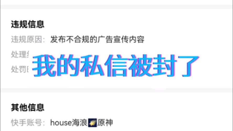 快手脏话怎么消音