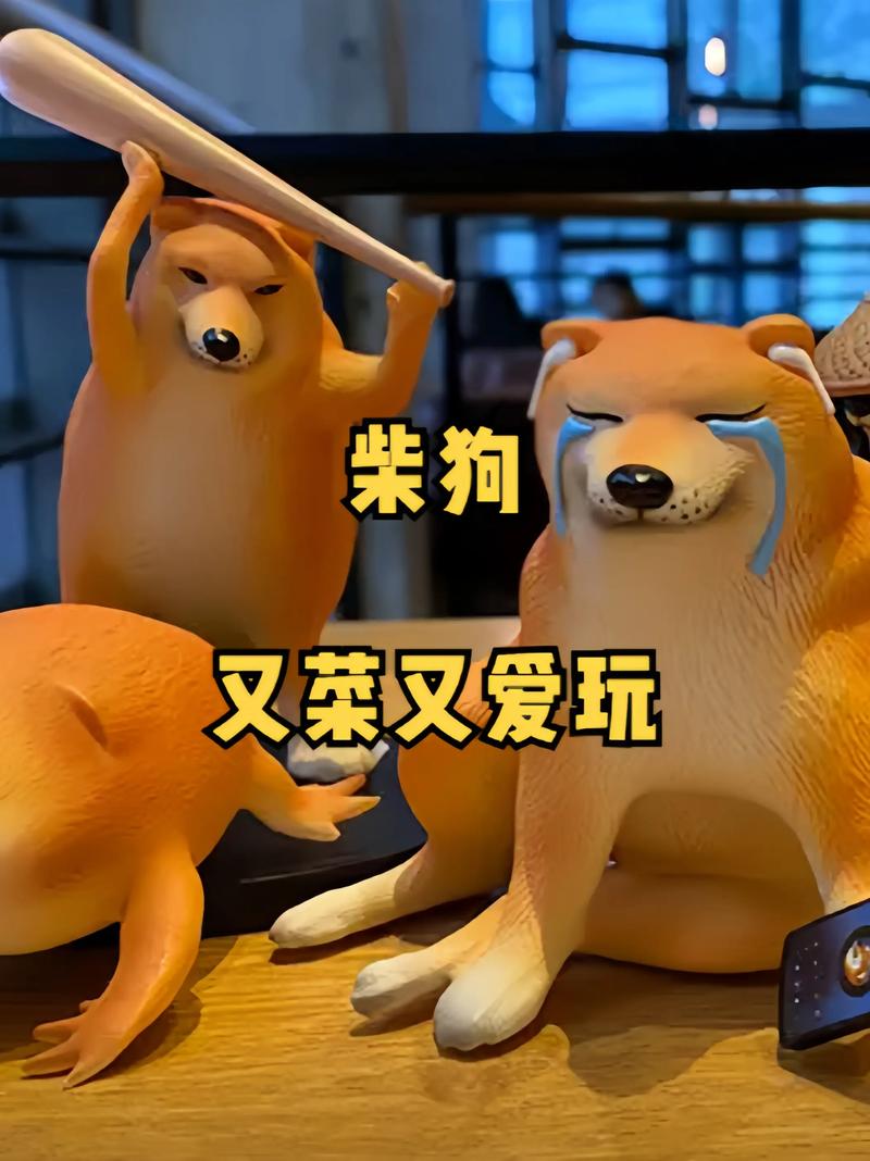 玩抖音最有趣的事是什么