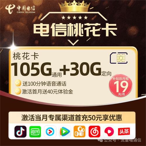 电信每月98g流量卡