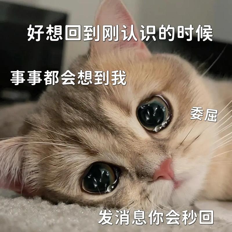 抖音我好想停啊是什么梗