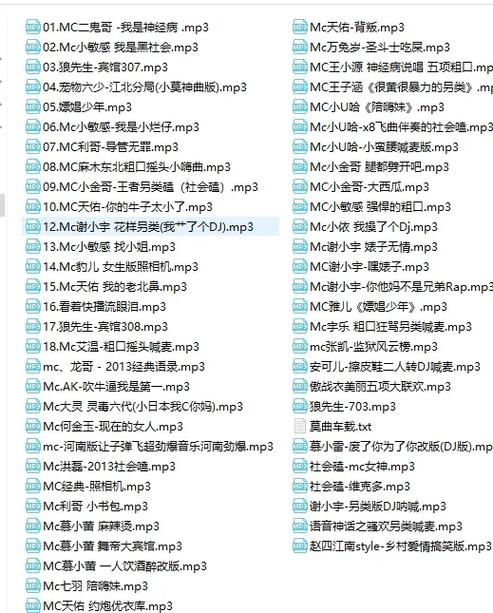 抖音车总喊麦是什么歌