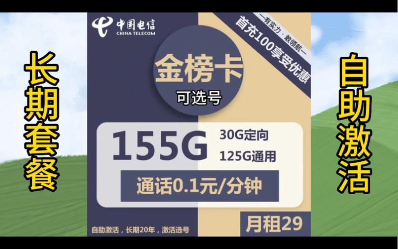 选号流量卡电信