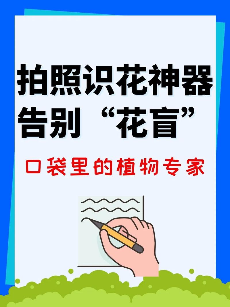 抖音里的求知欲是什么