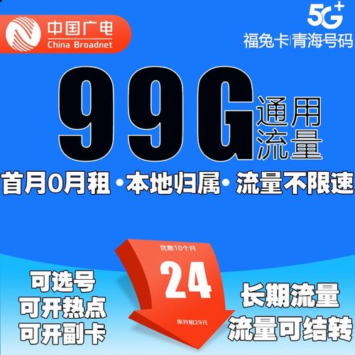 青海办理流量卡