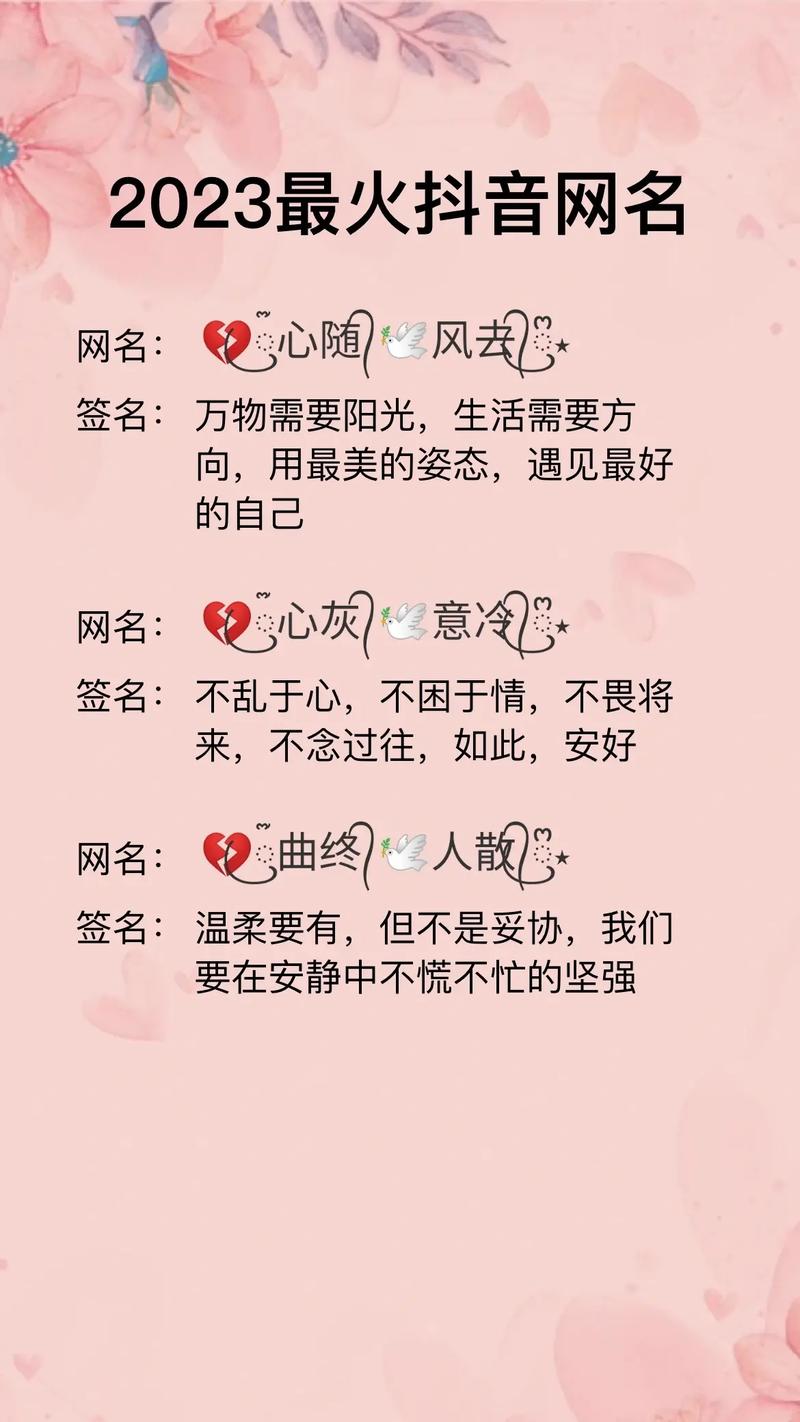 抖音百大昵称是什么