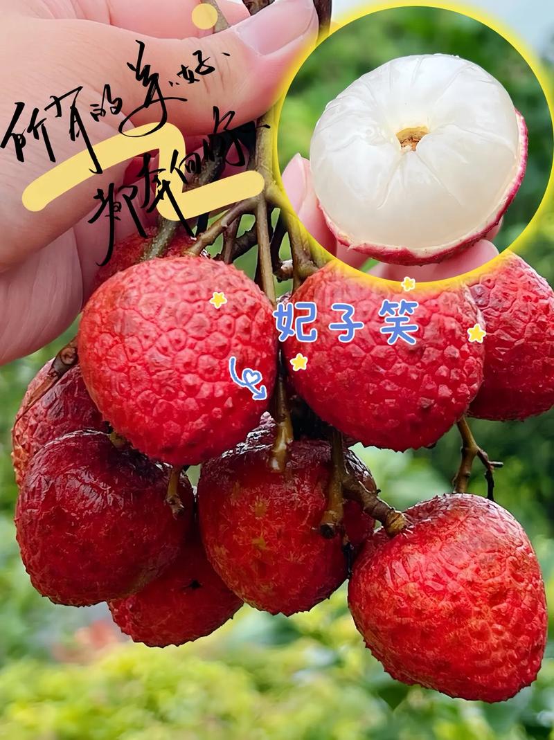 抖音一颗荔枝呀什么梗