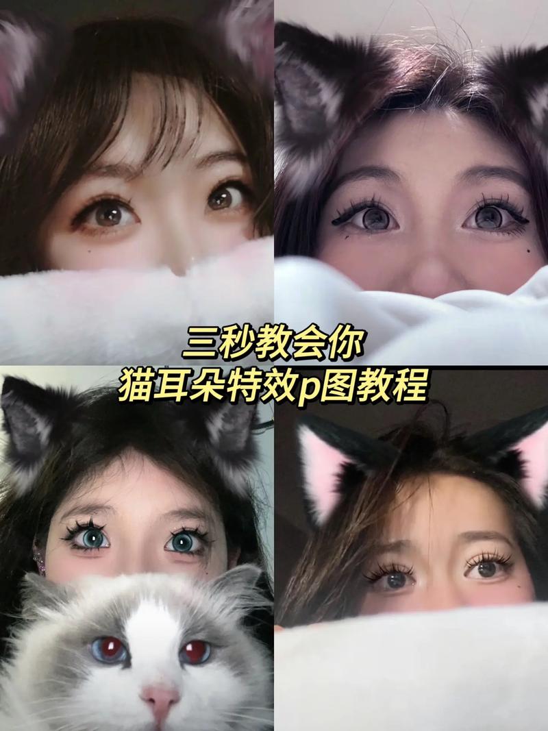 抖音里的猫耳朵是什么梗