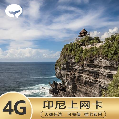 巴厘岛手机流量卡