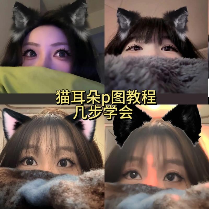 抖音里的猫耳朵是什么梗