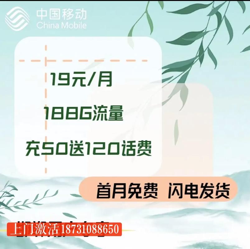 19流量卡自营