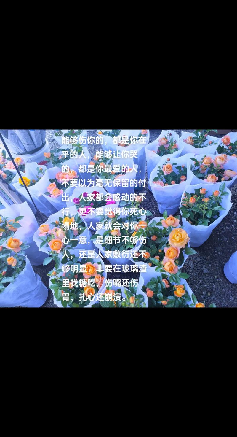 抖音上我在乎你什么意思