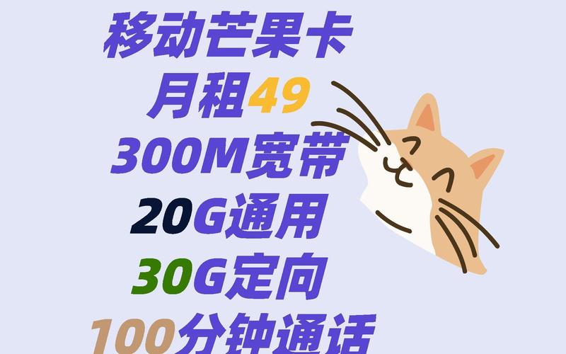 芒果专用流量卡