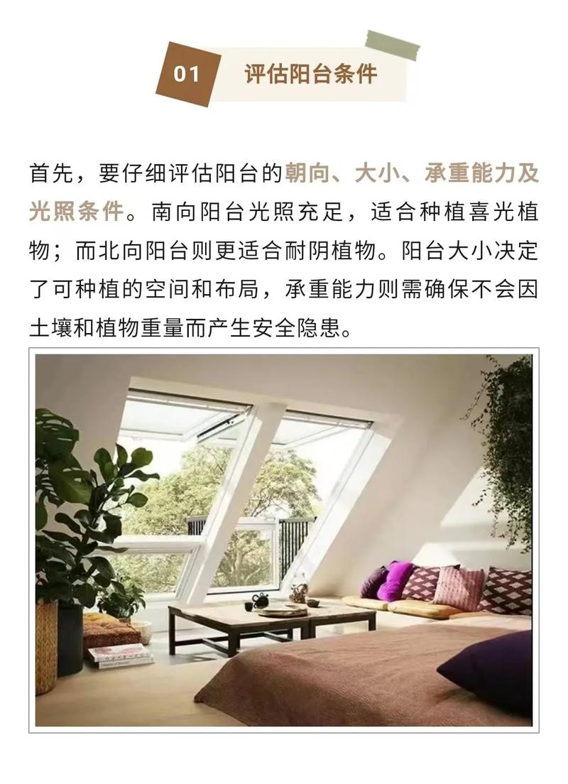 抖音说的阳台是什么意思