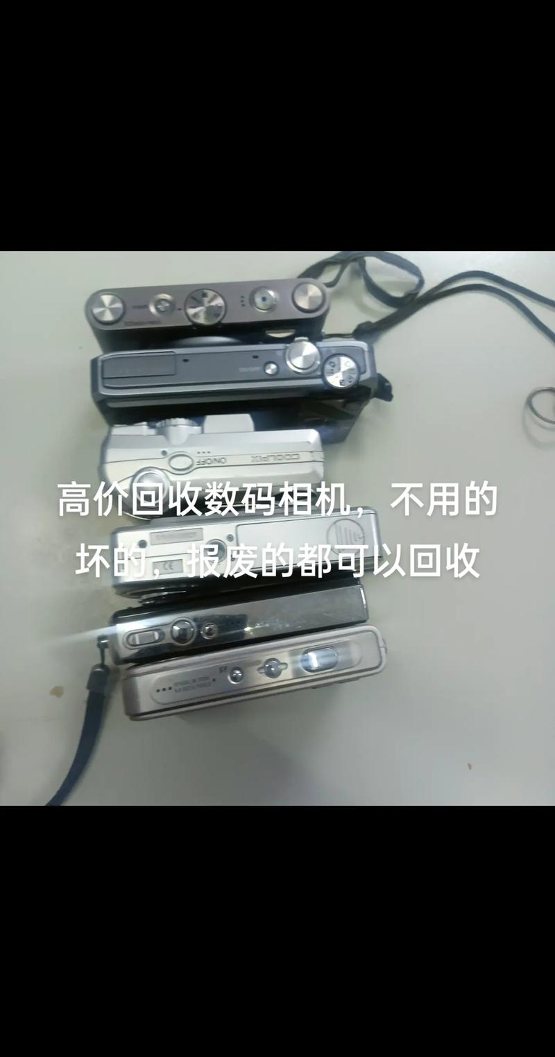 抖音火的变老相机叫什么