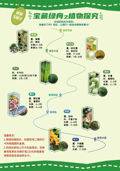 灵韵流量卡