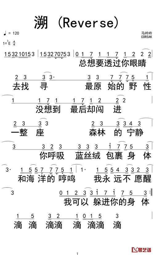 抖音的最火歌曲叫什么歌