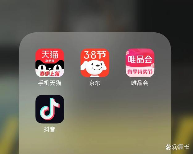玩抖音的第1年是什么