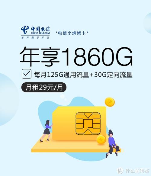 山东电信新年流量卡活动