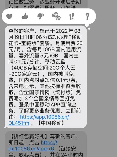 把流量卡丢了