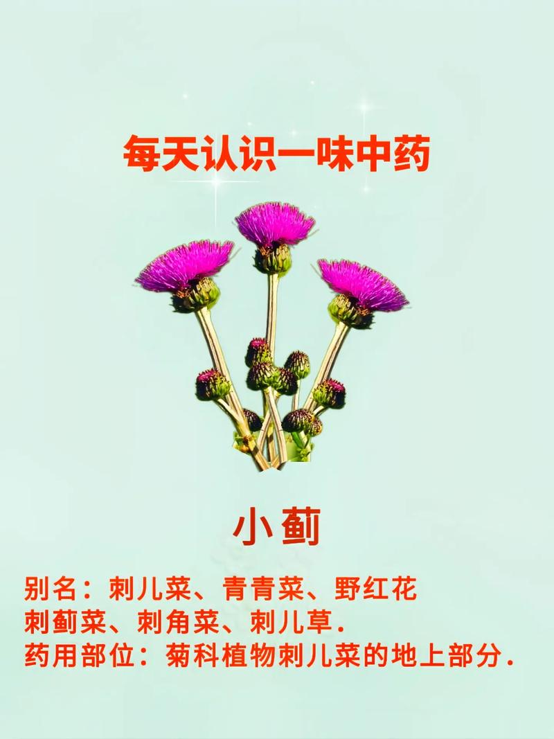 抖音里什么是种草成功的