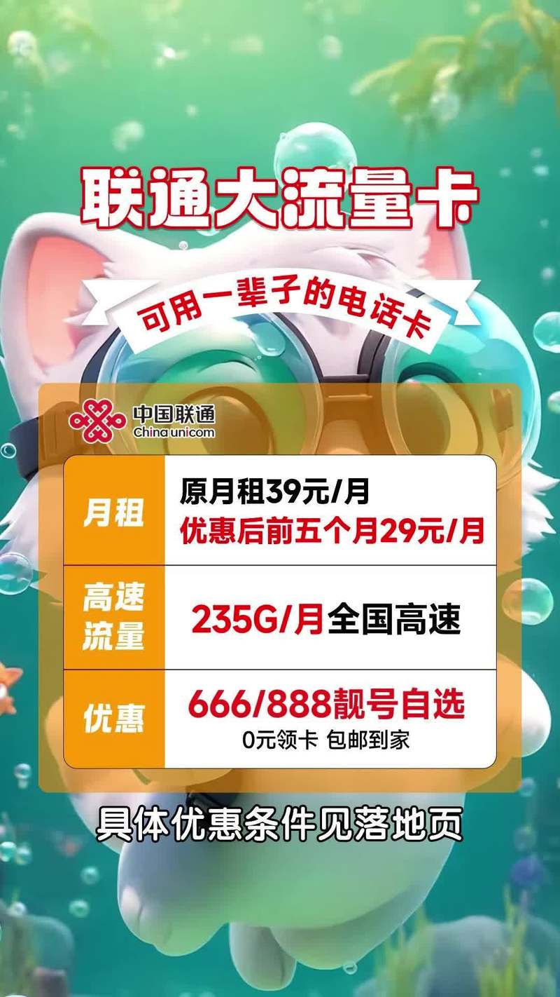 联通专属流量月卡多少钱