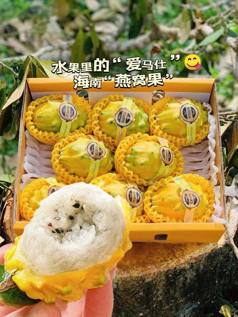 抖音中的同款水果叫什么