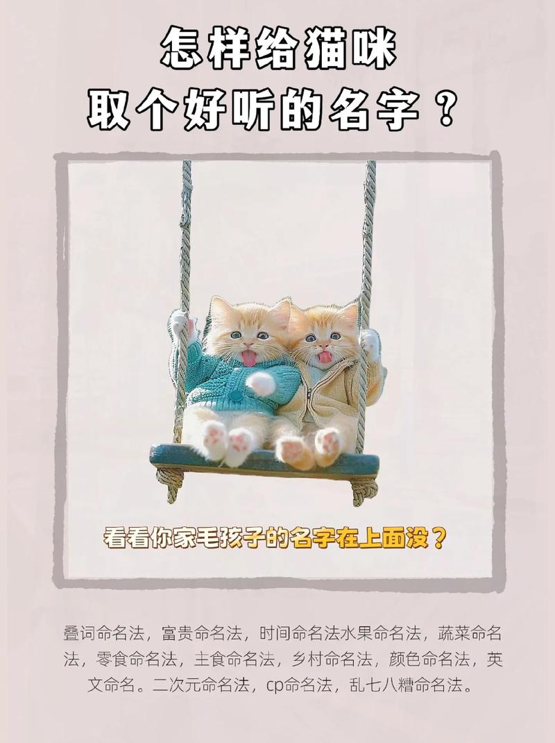 抖音有猫咪的名字叫什么