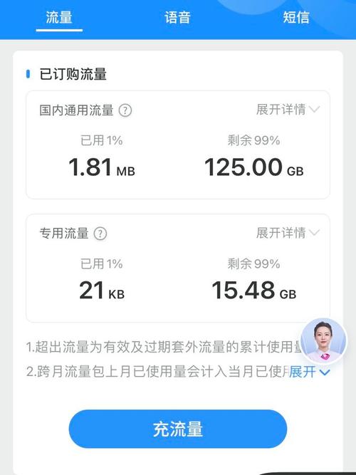 网上电信卡怎么查询流量