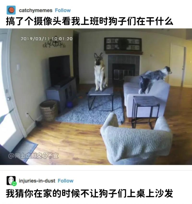 抖音无鱼鳞比偷狗什么梗