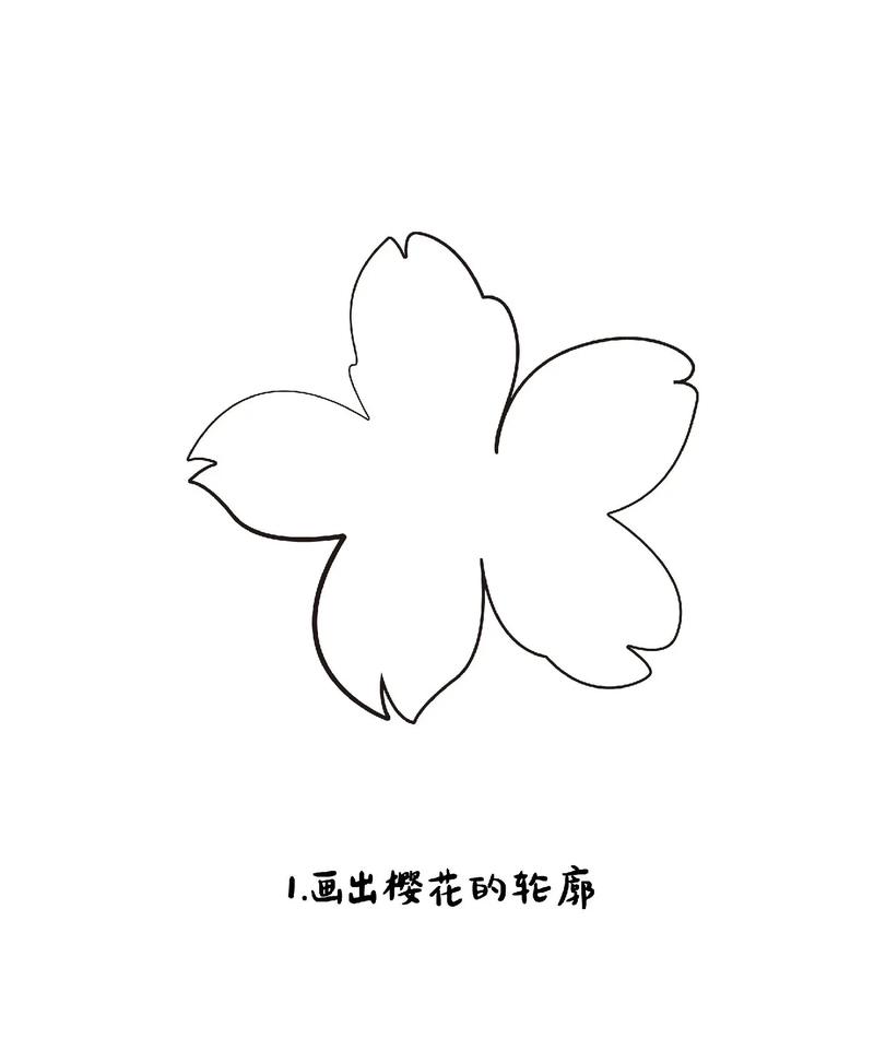 抖音简笔画为什么粉丝多