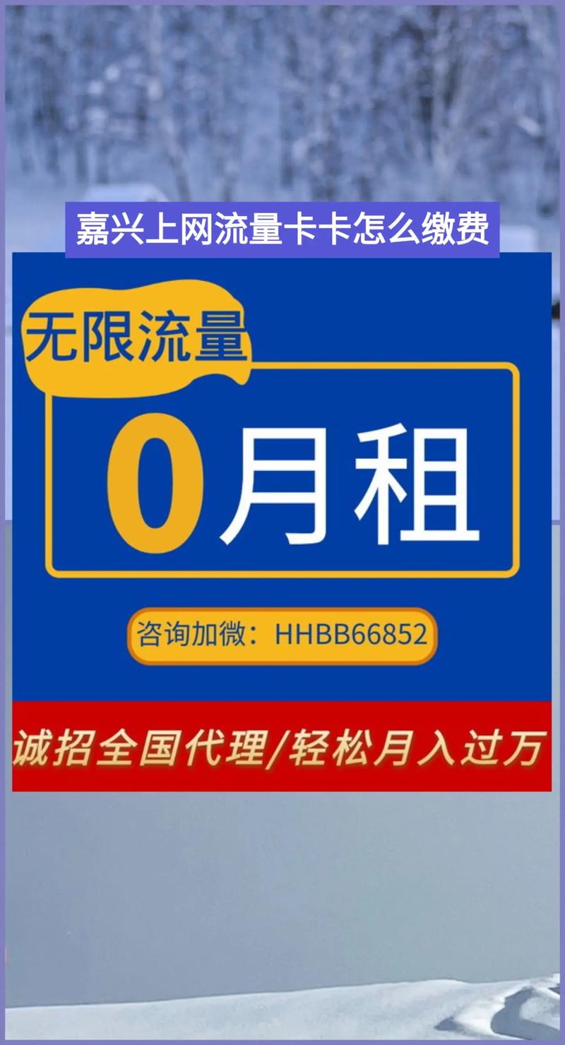流量卡交费网址