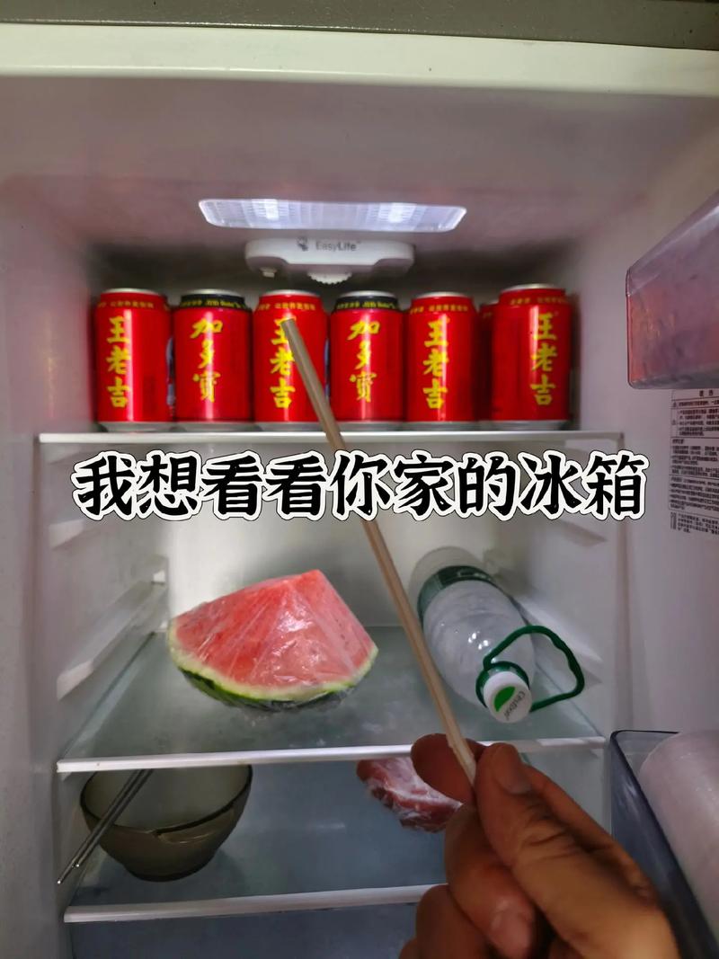 抖音上冰箱是什么意思呀