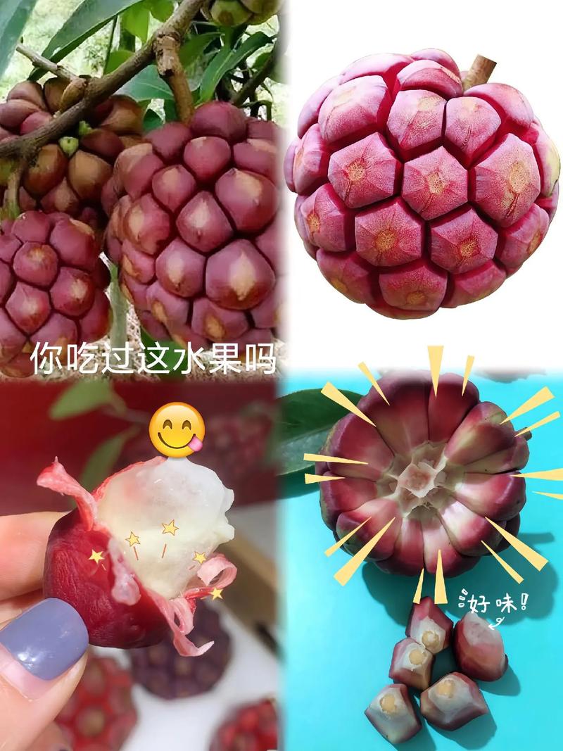 抖音有个水果名叫什么
