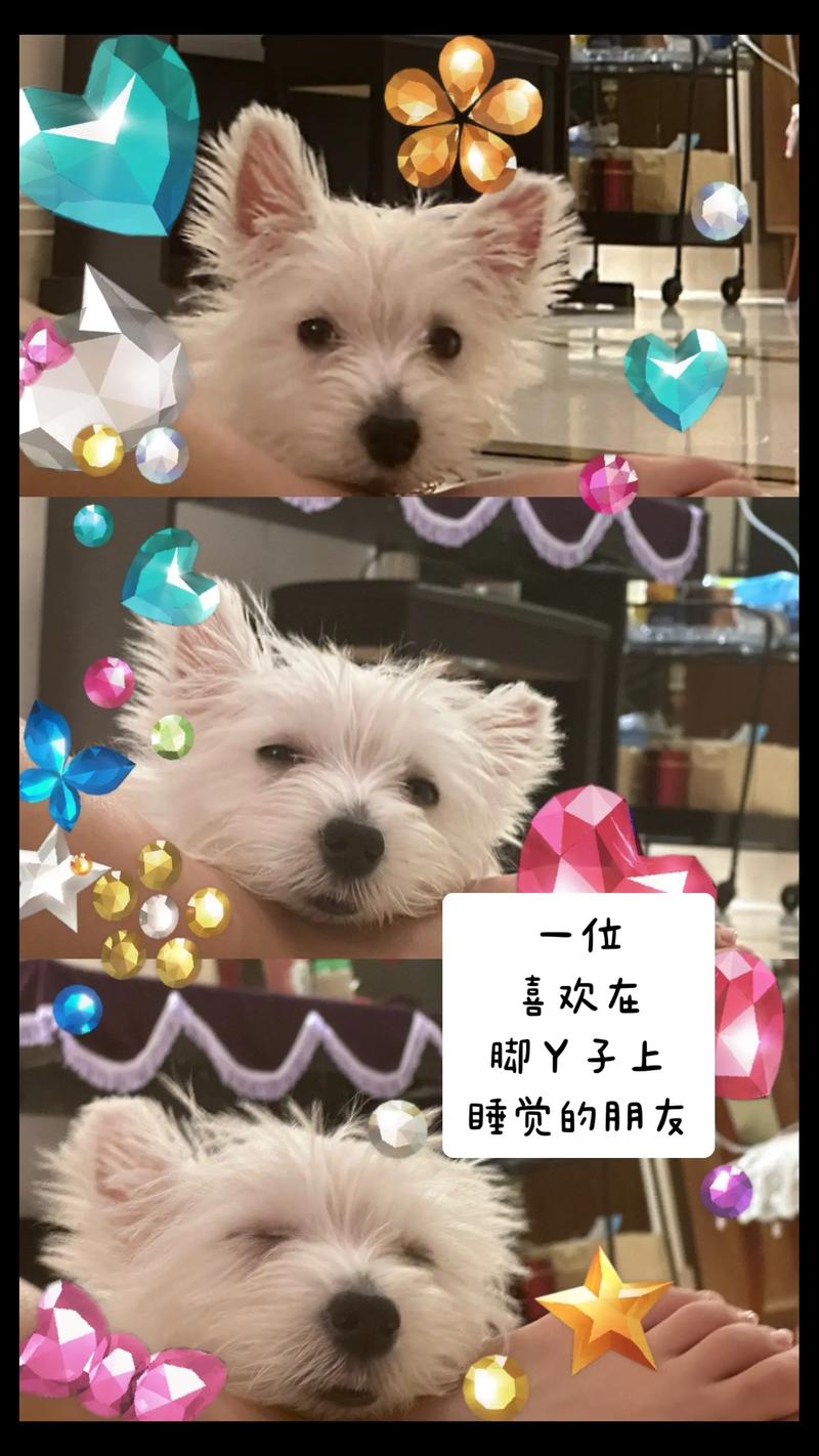 在群里睡觉是什么梗抖音