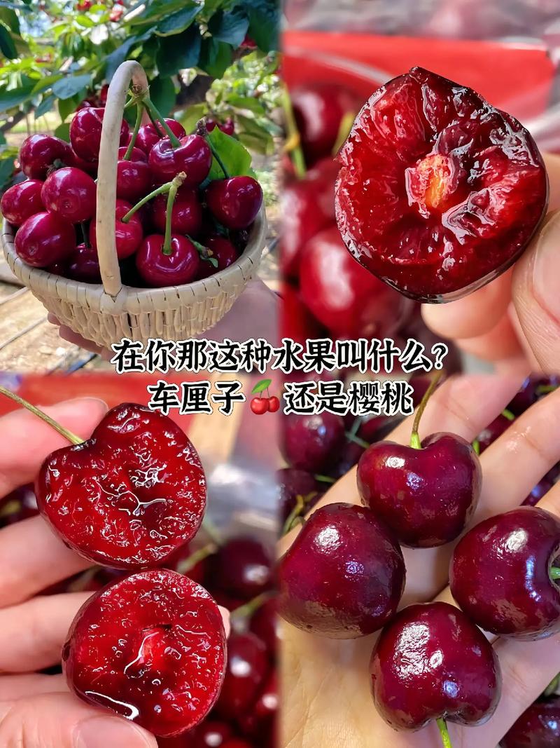 抖音有个水果名叫什么