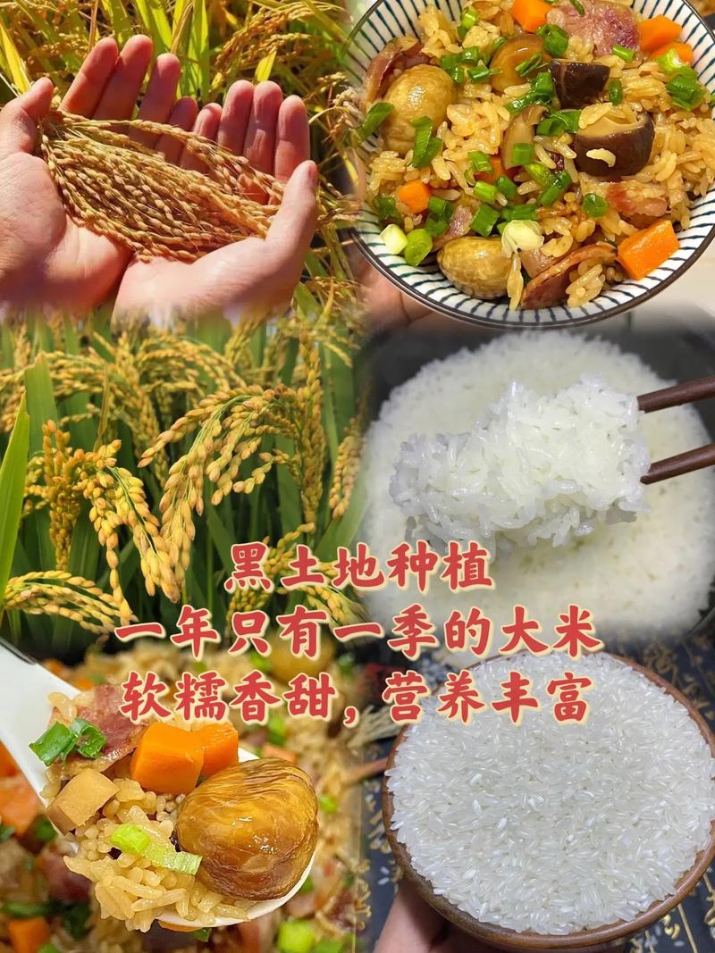 抖音里为什么说米可以吃