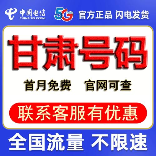 流量卡电信甘肃