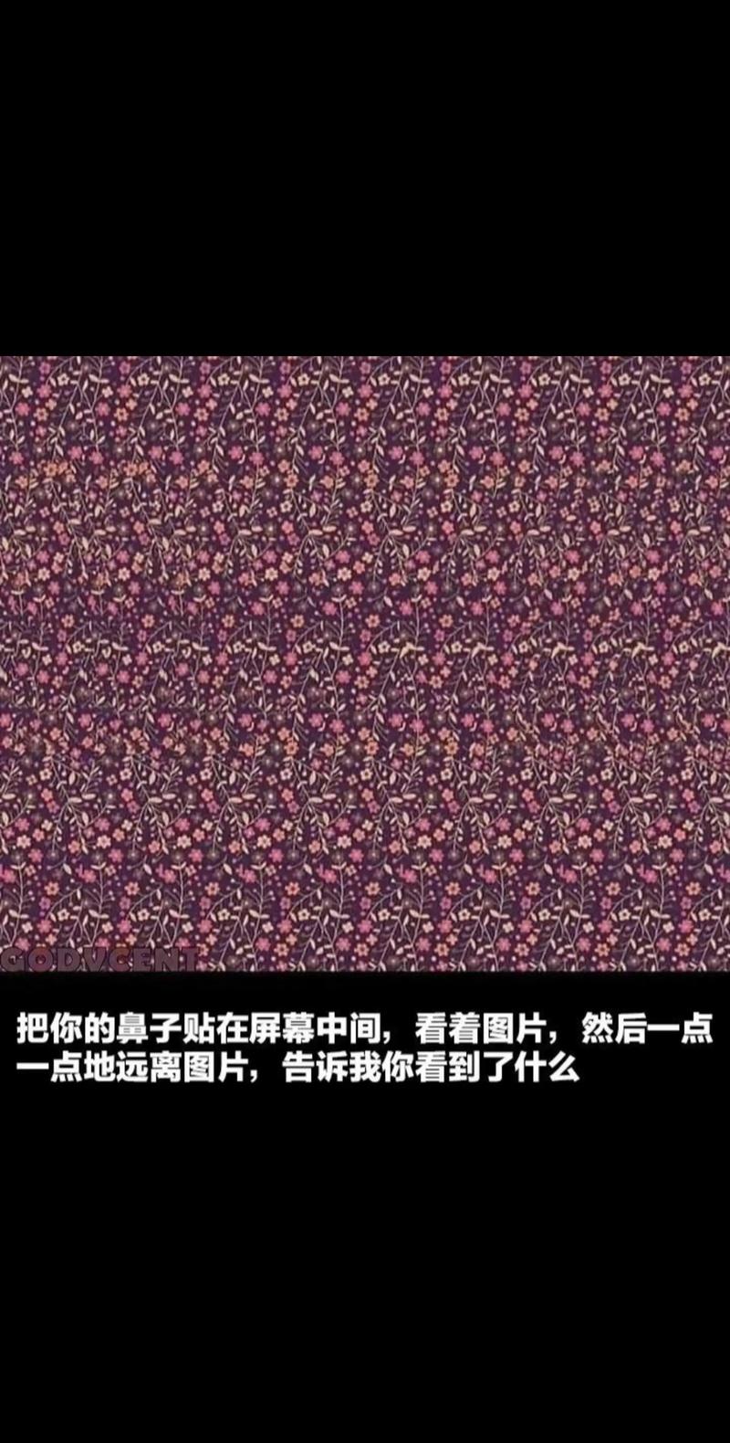 抖音上能看到谁在做什么