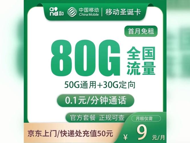 移动免流量卡300g