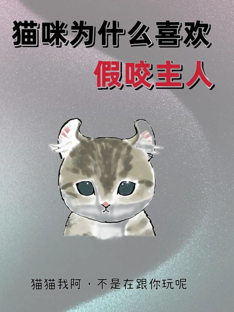 为什么人人喜欢玩抖音呢